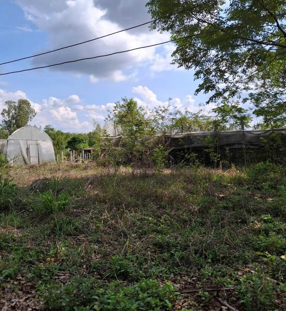 รูปที่ดินว่างเปล่า กุดน้ำใส น้ำพอง ขอนแก่น