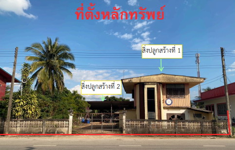 รูปที่ดินพร้อมสิ่งปลูกสร้าง ไม้ยา พญาเม็งราย เชียงราย