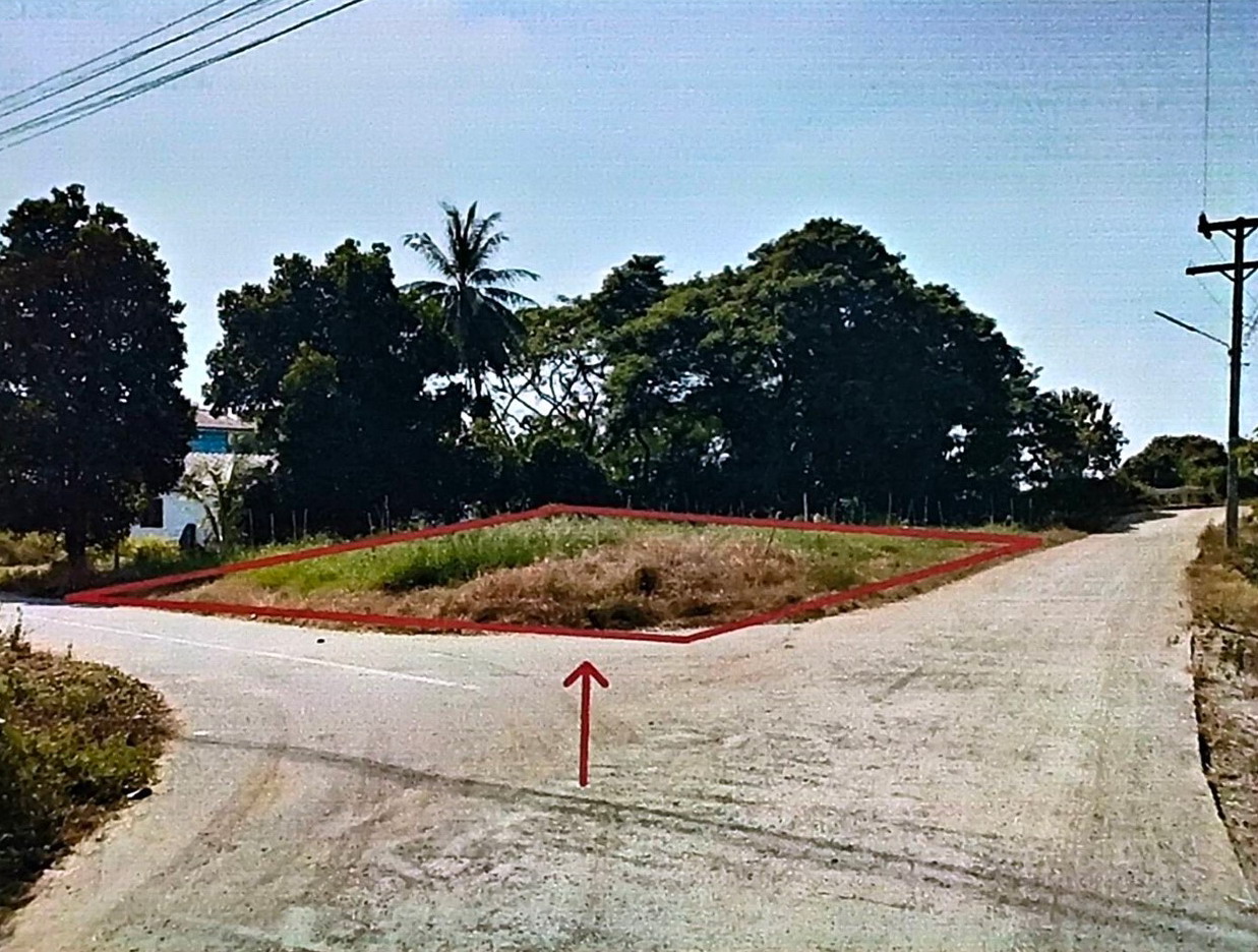 รูปที่ดินว่างเปล่า ทุ่งน้อย โพทะเล พิจิตร