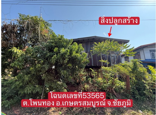 รูปที่ดินพร้อมสิ่งปลูกสร้าง โนนทอง เกษตรสมบูรณ์ ชัยภูมิ