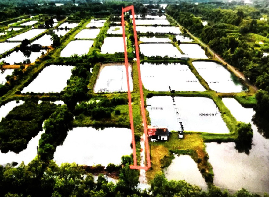 รูปที่ดินว่างเปล่า บางสระเก้า แหลมสิงห์ จันทบุรี