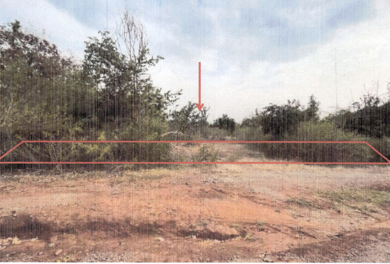 รูปที่ดินว่างเปล่า จรเข้สามพัน อู่ทอง สุพรรณบุรี