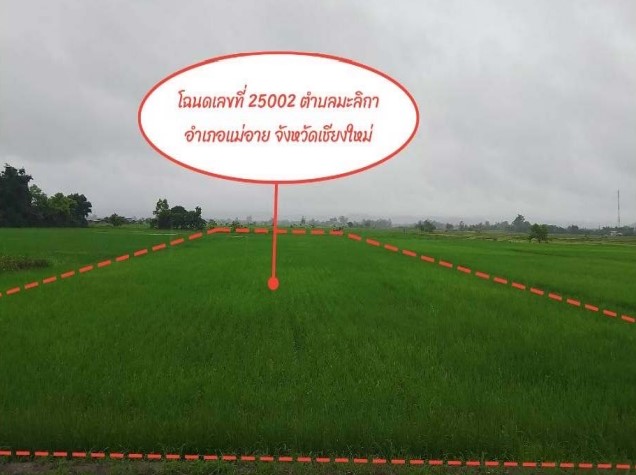 รูปที่ดินว่างเปล่า มะลิกา แม่อาย เชียงใหม่