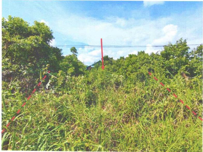 รูปที่ดินว่างเปล่า บึงสาน องครักษ์ นครนายก
