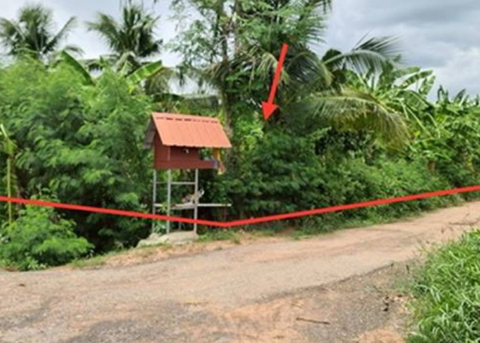 รูปที่ดินว่างเปล่า สะแกราช ปักธงชัย นครราชสีมา