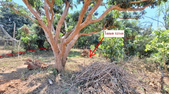 รูปที่ดินว่างเปล่า เวียงห้าว พาน เชียงราย