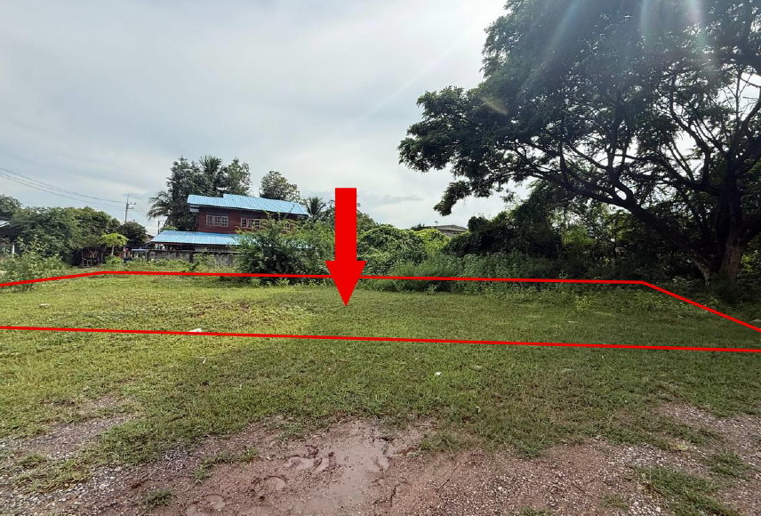 รูปที่ดินว่างเปล่า หนองไผ่ ชุมแพ ขอนแก่น