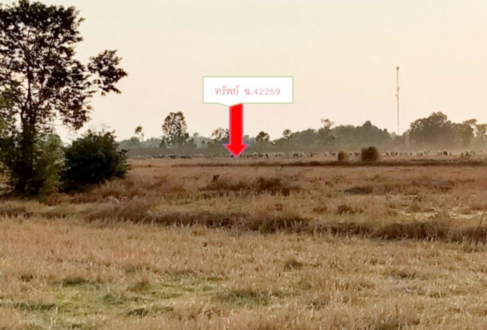รูปที่ดินว่างเปล่า บ้านพริก บ้านนา นครนายก