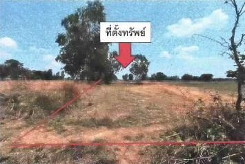 รูปที่ดินว่างเปล่า บ้านดู่ นาโพธิ์ บุรีรัมย์