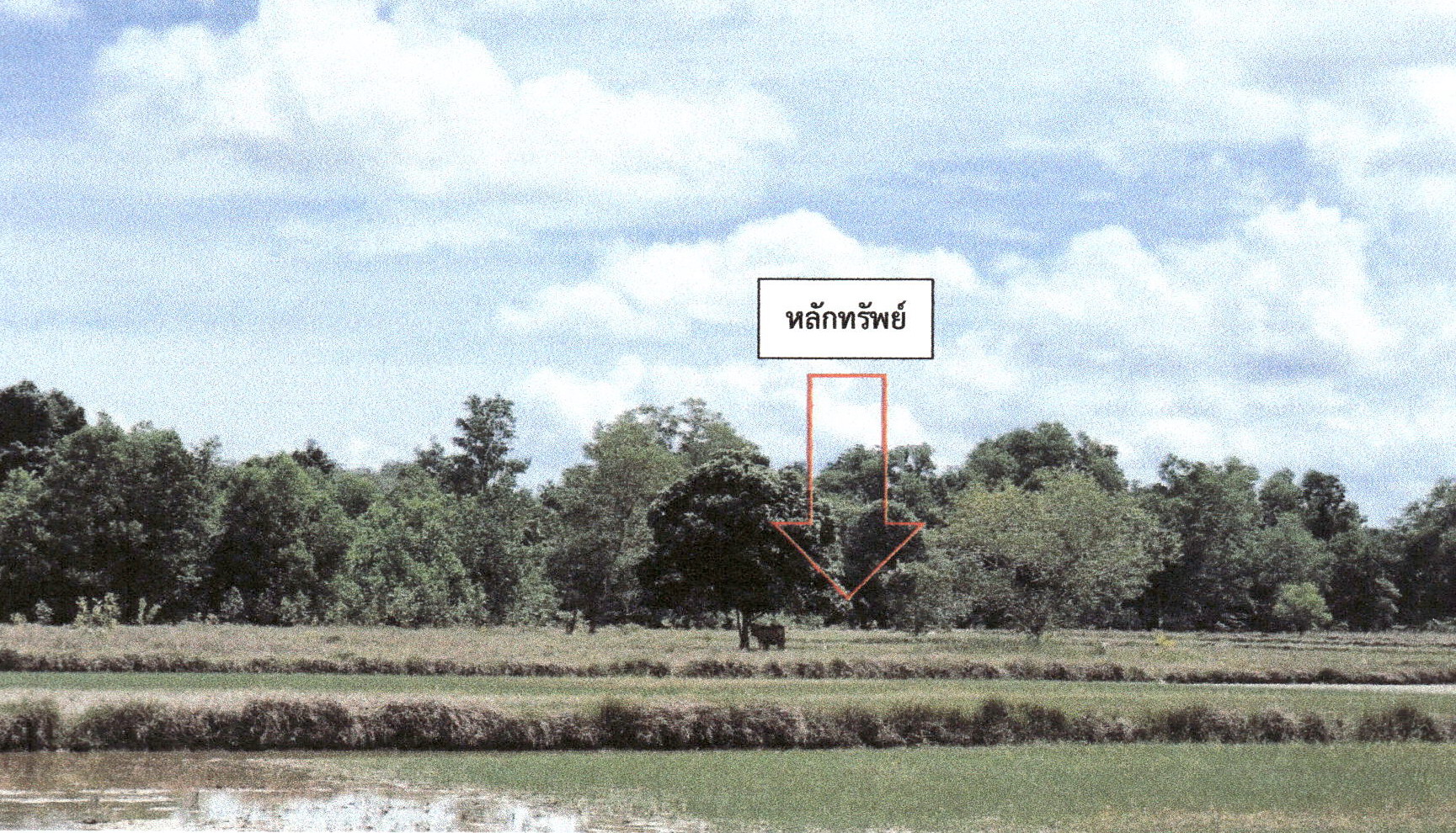 รูปที่ดินว่างเปล่า คลองเปียะ จะนะ สงขลา