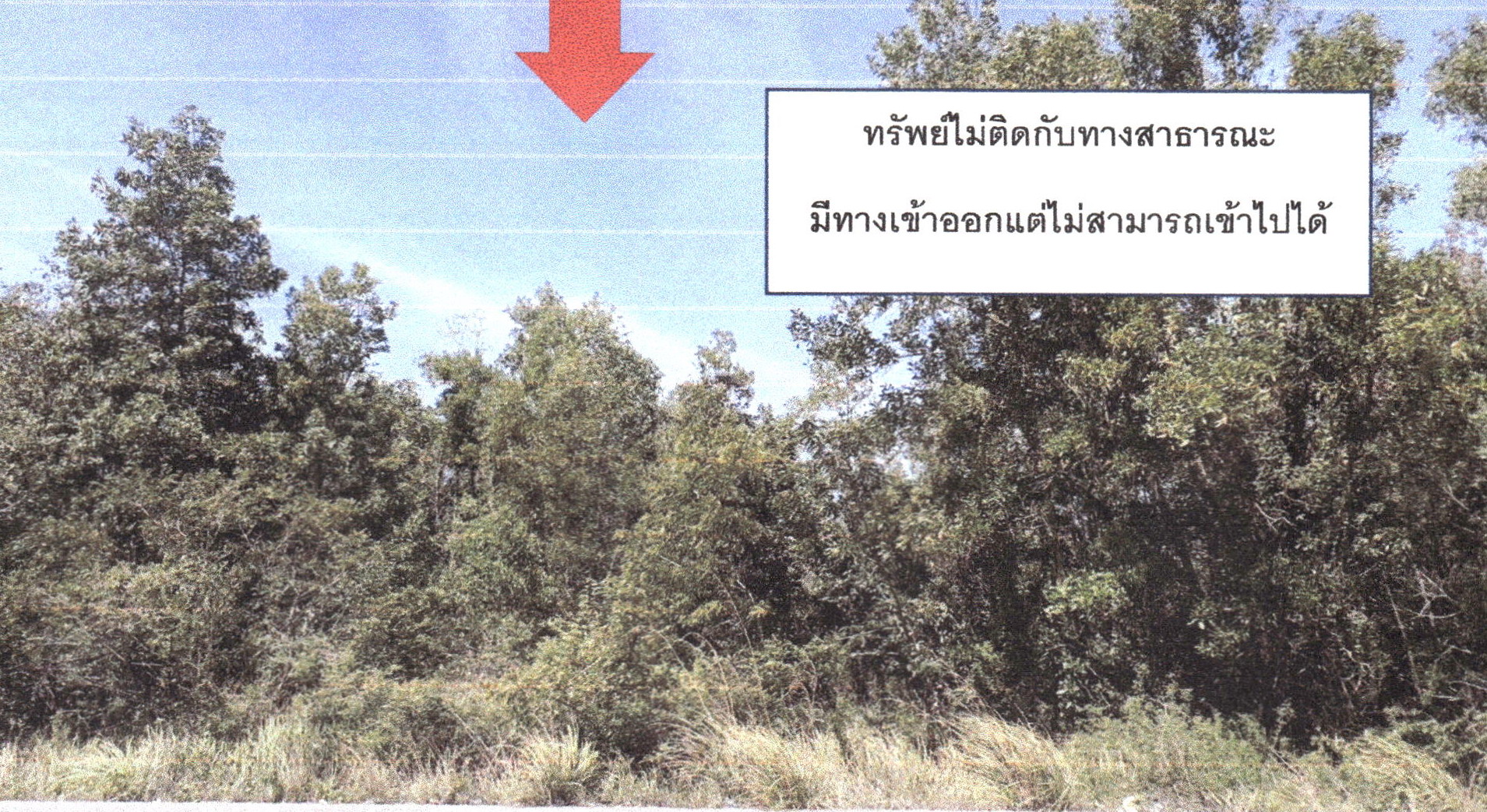 รูปที่ดินว่างเปล่า ตลิ่งชัน จะนะ สงขลา