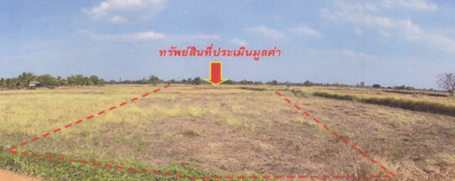 รูปที่ดินว่างเปล่า บ้านค่าย เมืองชัยภูมิ ชัยภูมิ