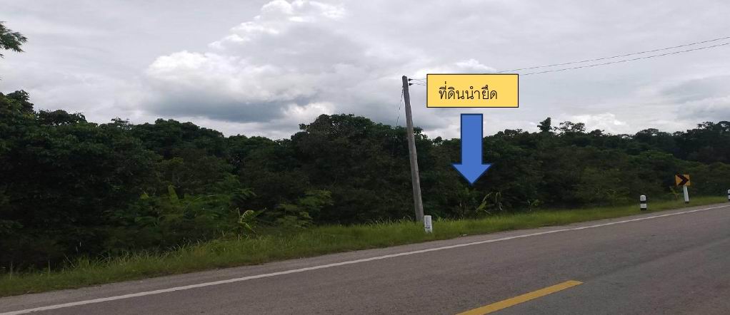 รูปที่ดินว่างเปล่า แม่ตืน ลี้ ลำพูน