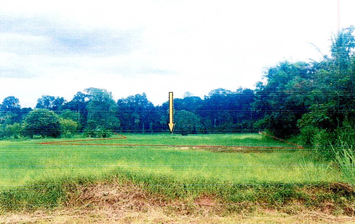 รูปที่ดินว่างเปล่า รังแร้ง อุทุมพรพิสัย ศรีสะเกษ