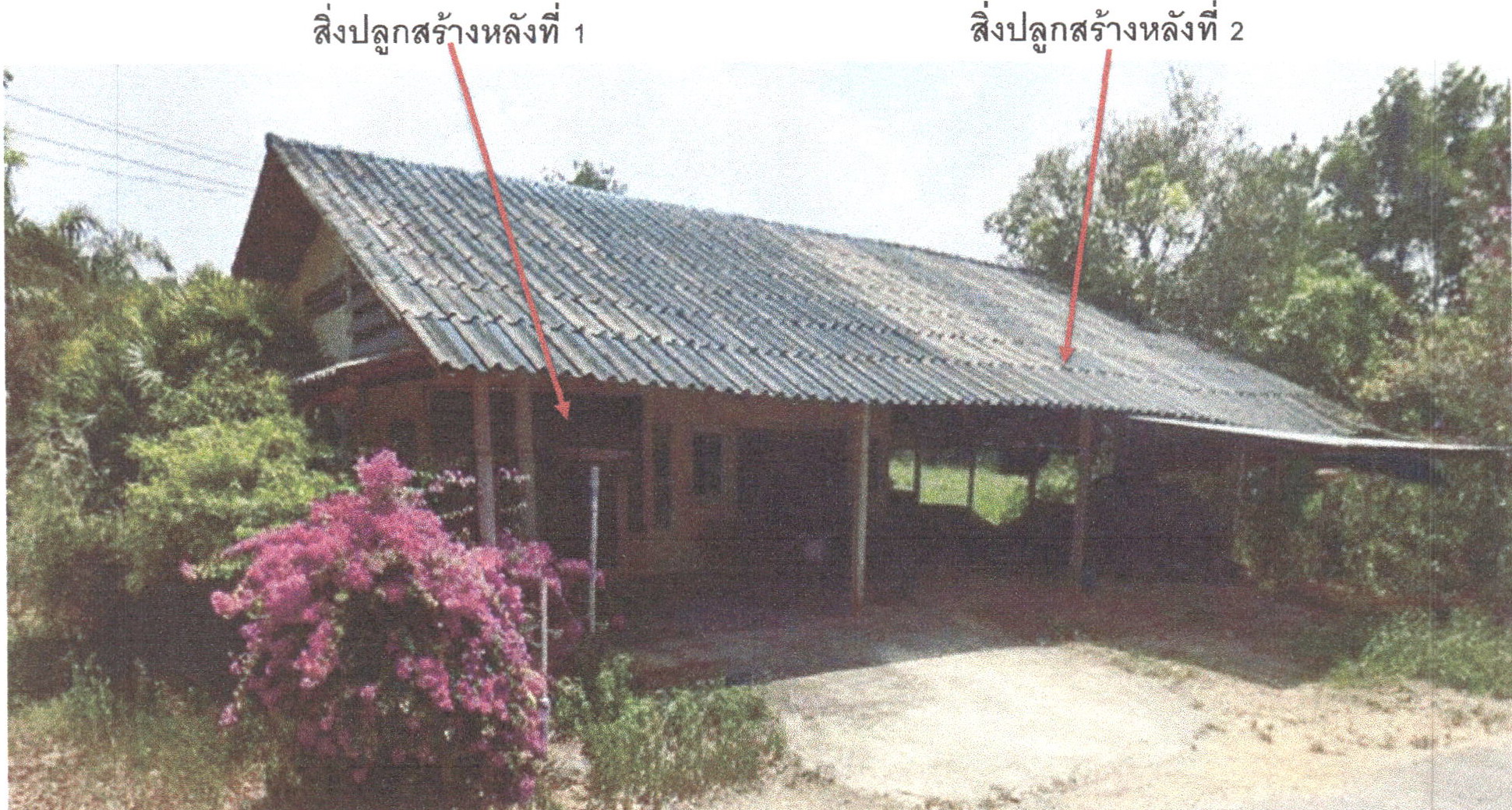 รูปที่ดินพร้อมสิ่งปลูกสร้าง บางม่วง ตะกั่วป่า พังงา