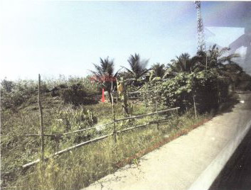 รูปที่ดินว่างเปล่า ท่าโพธิ์ สะเดา สงขลา
