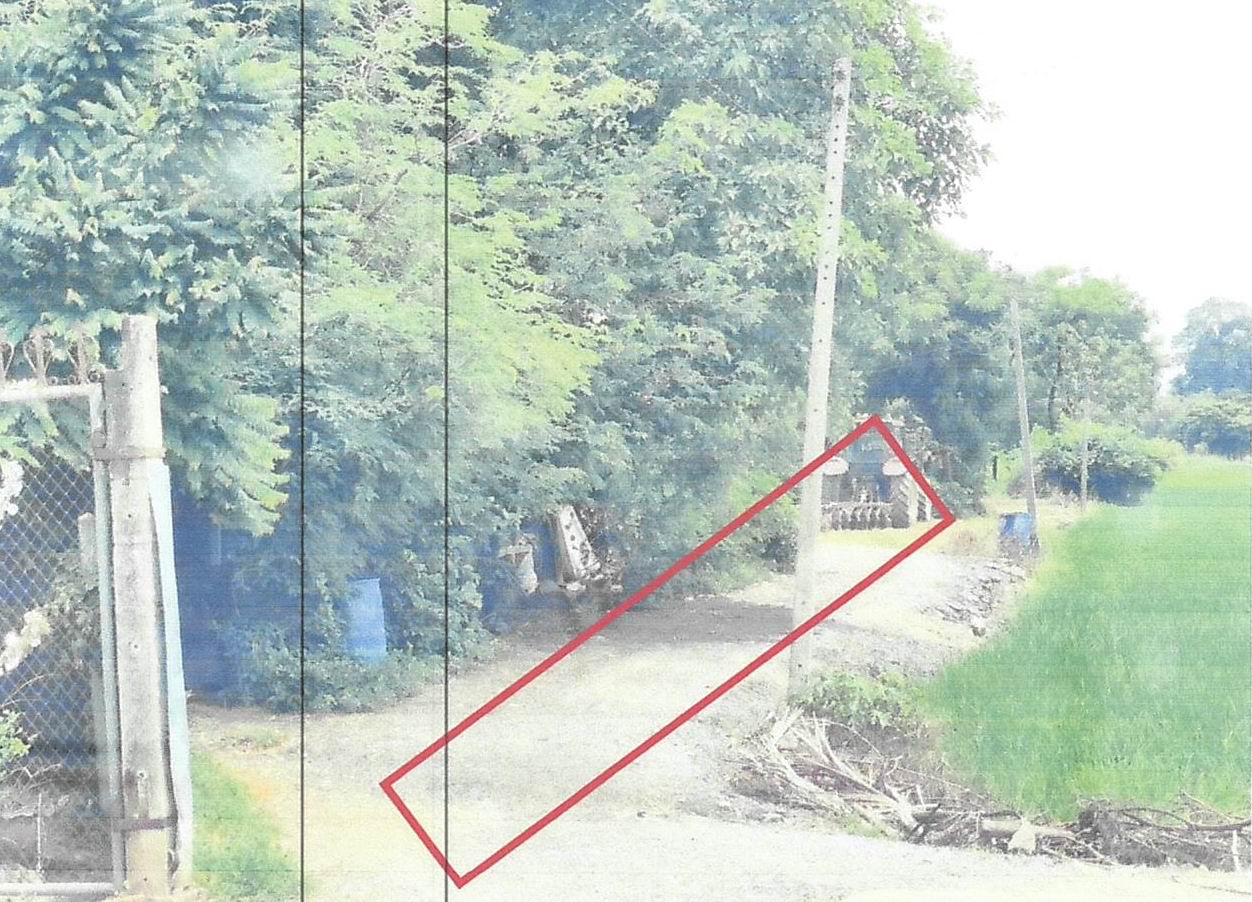 รูปที่ดินว่างเปล่า ท่าฉนวน มโนรมย์ ชัยนาท