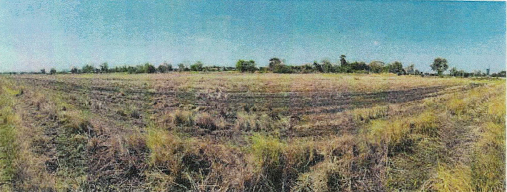 รูปที่ดินว่างเปล่า ลำนารายณ์ ชัยบาดาล ลพบุรี