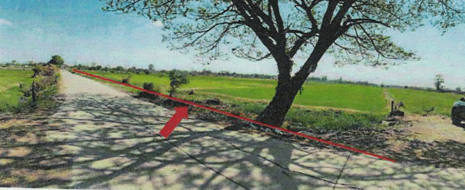 รูปที่ดินว่างเปล่า ท่ามะนาว ชัยบาดาล ลพบุรี