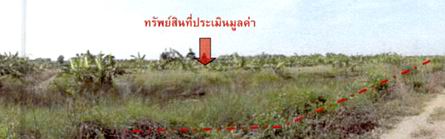 รูปที่ดินว่างเปล่า หนองสามวัง (คลอง 14 ตก) หนองเสือ ปทุมธานี