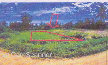 รูปที่ดินว่างเปล่า โคกม่วง คลองหอยโข่ง สงขลา