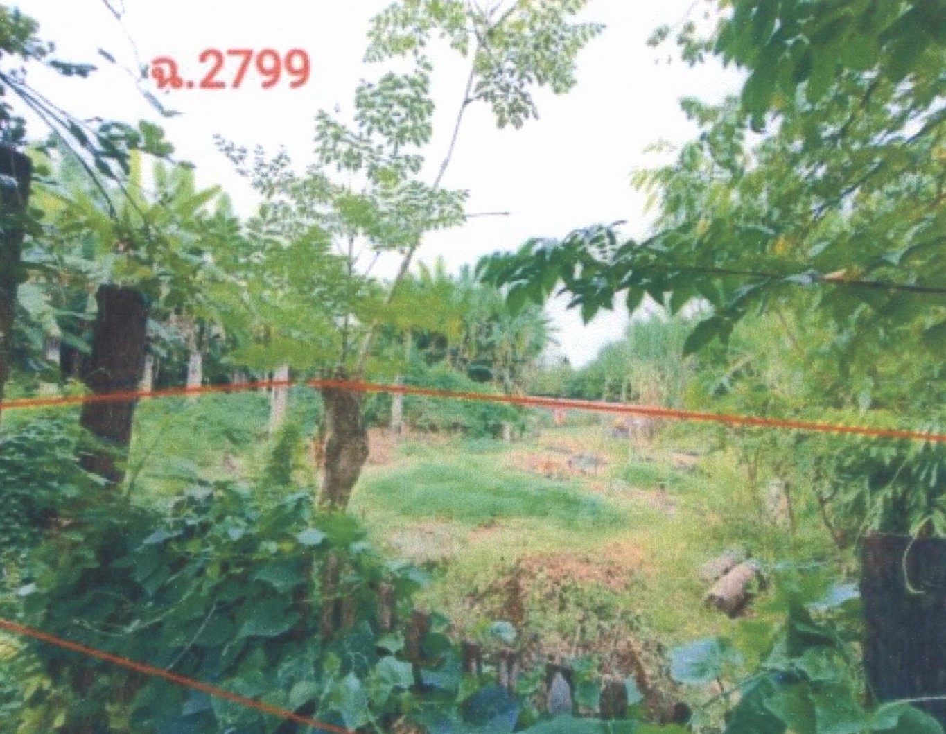 รูปที่ดินว่างเปล่า หัวฝาย สูงเม่น แพร่