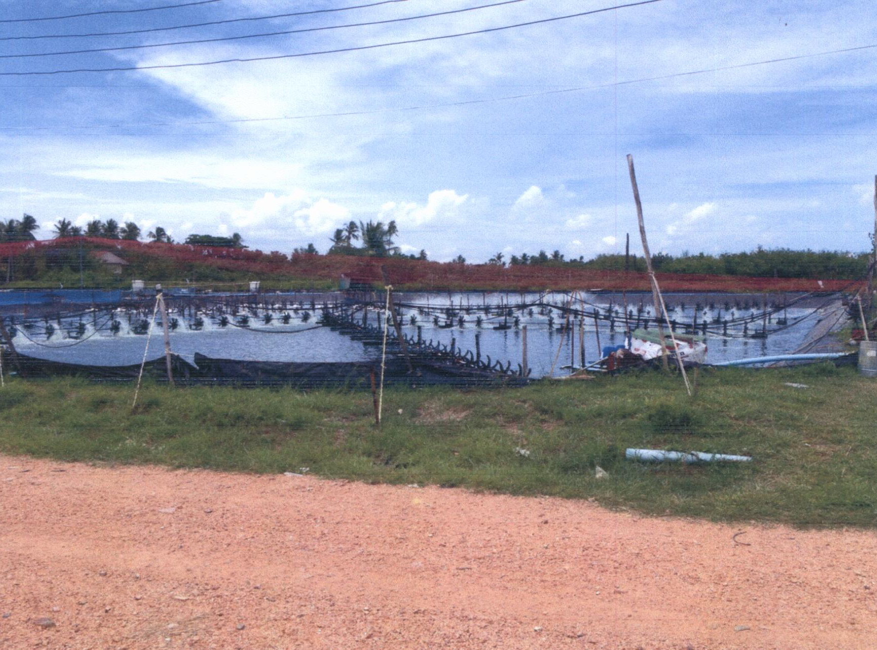 รูปที่ดินว่างเปล่า วัดสน ระโนด สงขลา
