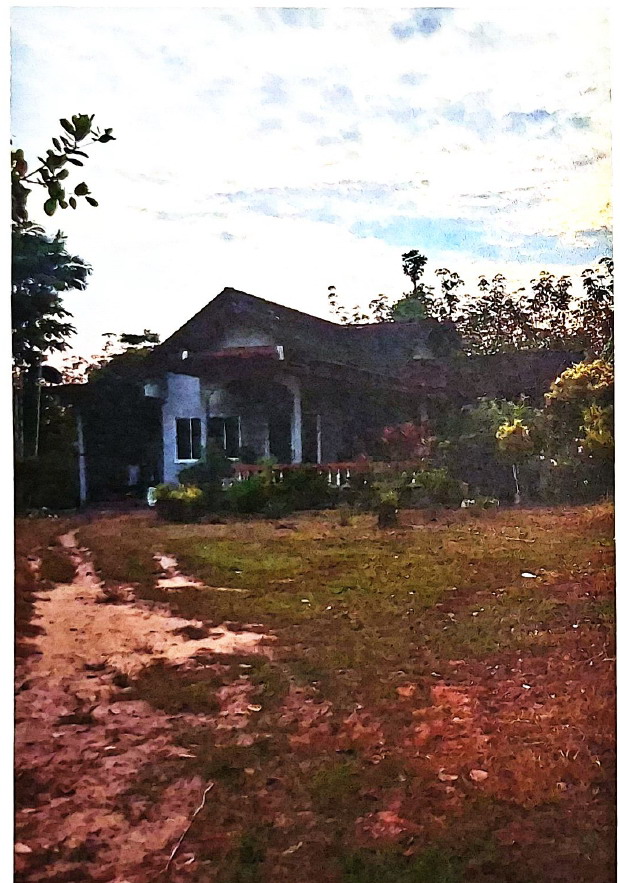 รูปที่ดินพร้อมสิ่งปลูกสร้าง เขาขาว ทุ่งสง นครศรีธรรมราช