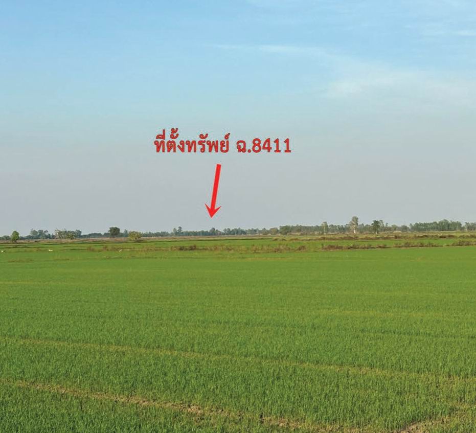 รูปที่ดินว่างเปล่า วังมหากร ท่าตะโก นครสวรรค์