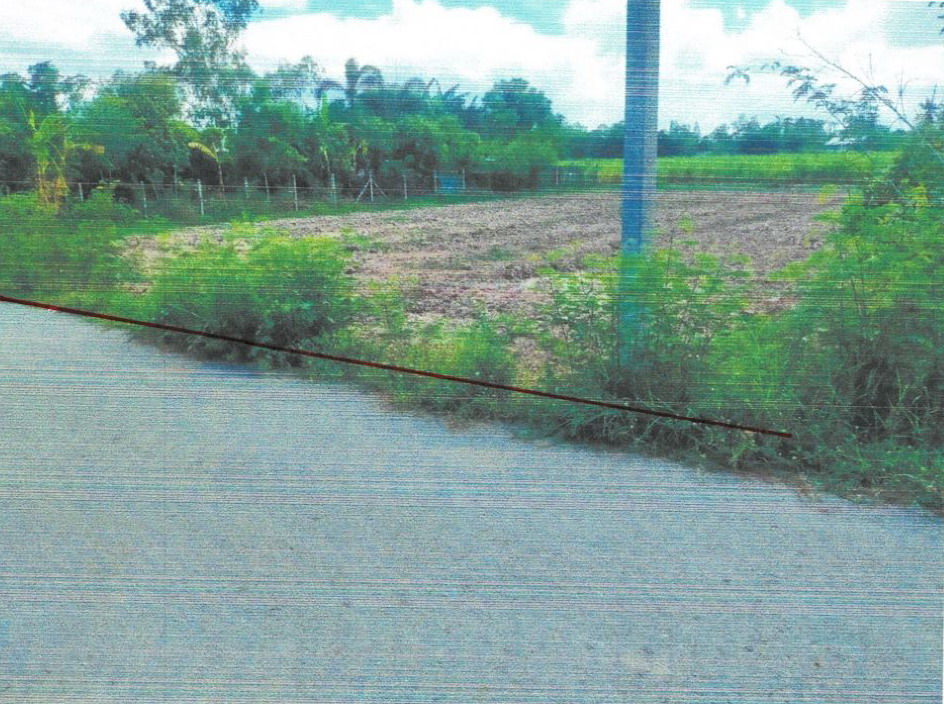 รูปที่ดินพร้อมสิ่งปลูกสร้าง หนองสาหร่าย ดอนเจดีย์ สุพรรณบุรี