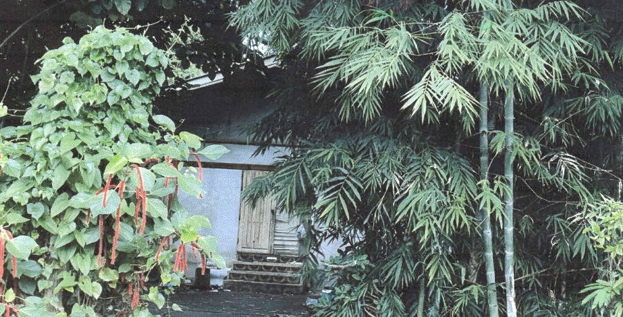 รูปที่ดินพร้อมสิ่งปลูกสร้าง นาจักร เมืองแพร่ แพร่