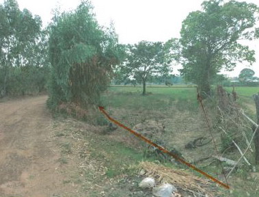 รูปที่ดินว่างเปล่า หนองแคน ปทุมรัตต์ ร้อยเอ็ด