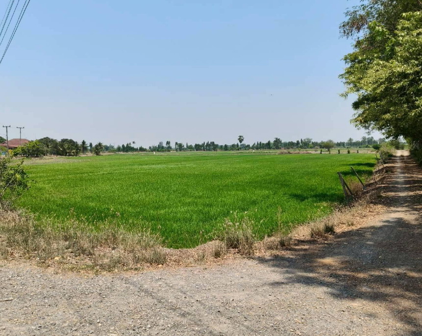 รูปที่ดินว่างเปล่า บ้านม่วง บ้านโป่ง ราชบุรี