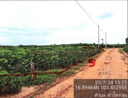 รูปที่ดินว่างเปล่า คำโคกสูง วังสามหมอ อุดรธานี