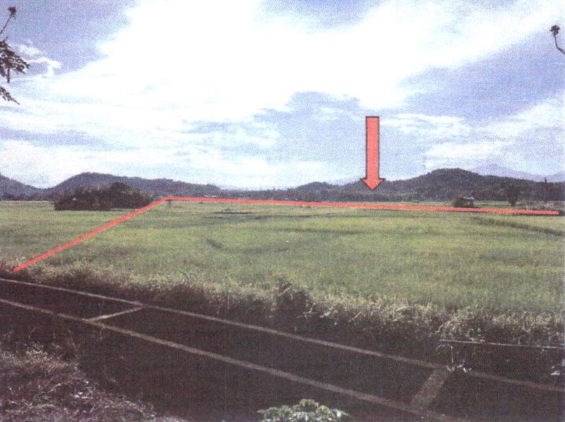 รูปที่ดินว่างเปล่า เวียงต้า ลอง แพร่