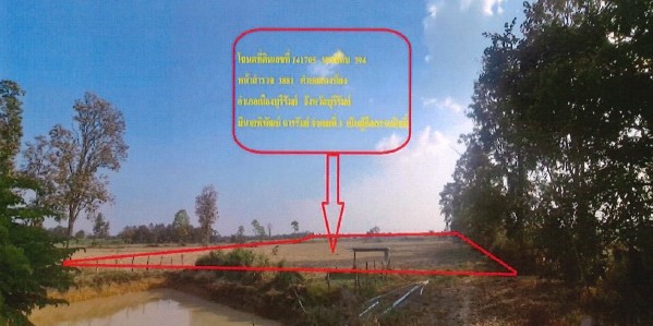 รูปที่ดินว่างเปล่า สองห้อง เมืองบุรีรัมย์ บุรีรัมย์