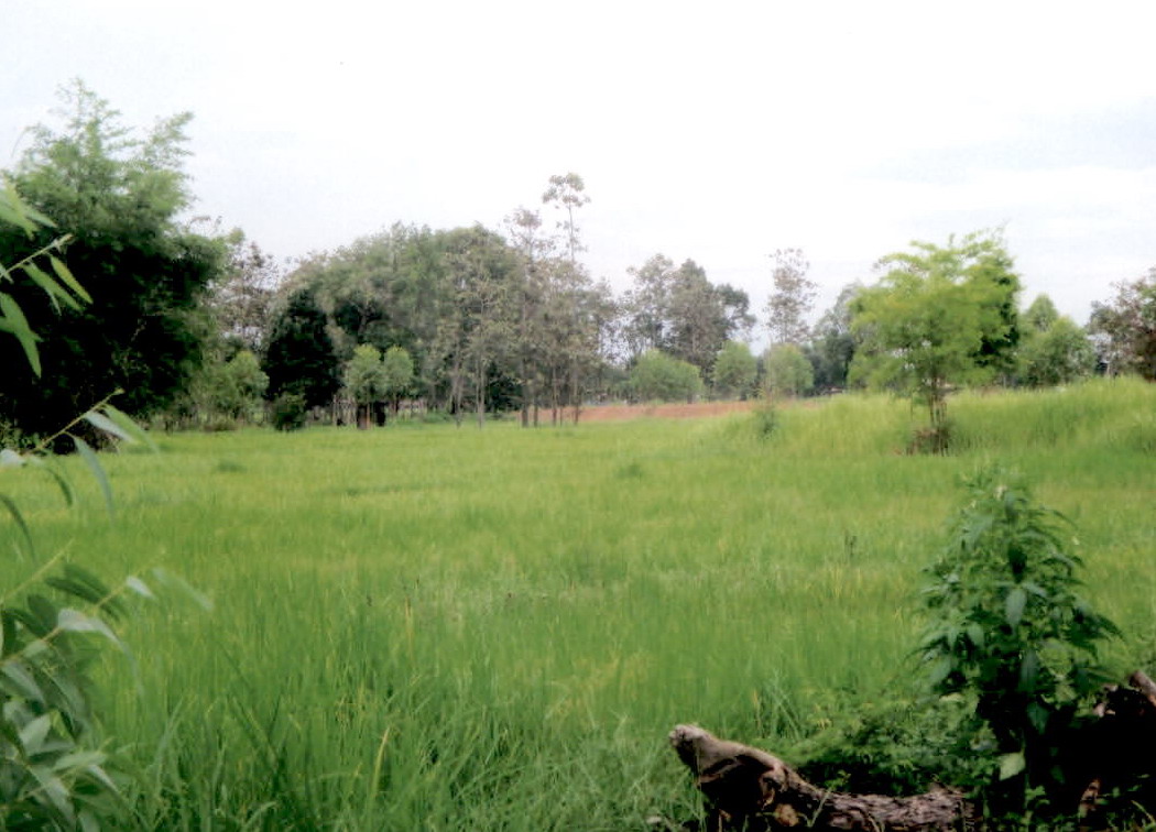 รูปที่ดินว่างเปล่า บ้านค้อ โพนสวรรค์ นครพนม