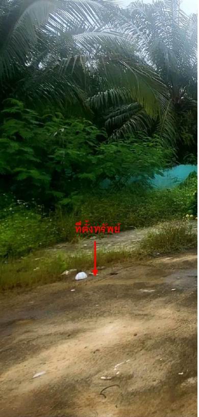 รูปที่ดินว่างเปล่า ทุ่งกง กาญจนดิษฐ์ สุราษฎร์ธานี
