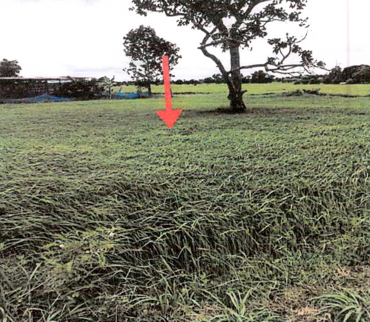 รูปที่ดินว่างเปล่า หนองบัวดง ศิลาลาด ศรีสะเกษ