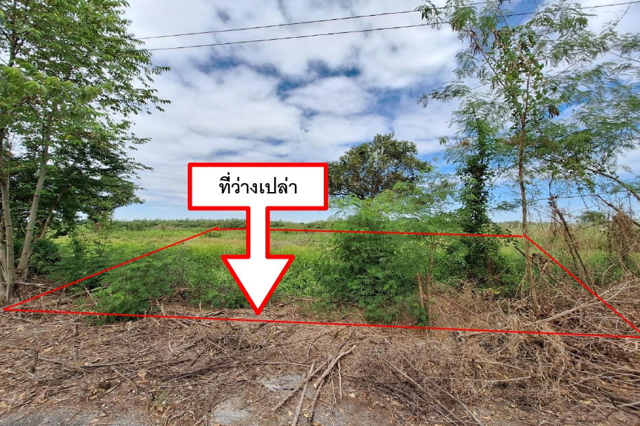 รูปที่ดินว่างเปล่า บึงบา หนองเสือ ปทุมธานี
