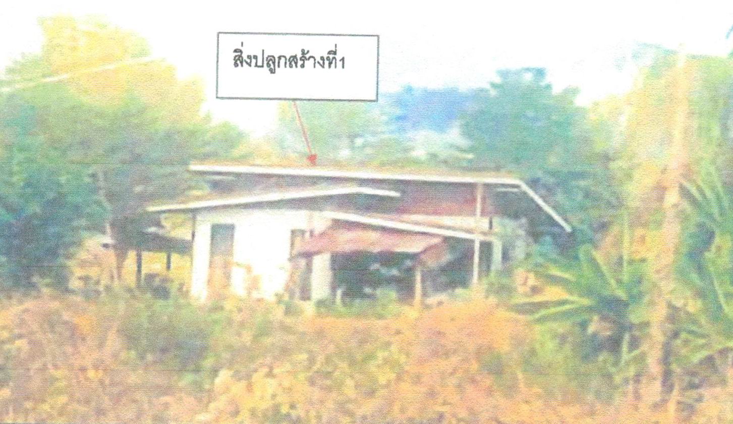รูปที่ดินพร้อมสิ่งปลูกสร้าง ชัยพฤกษ์ เมืองเลย เลย