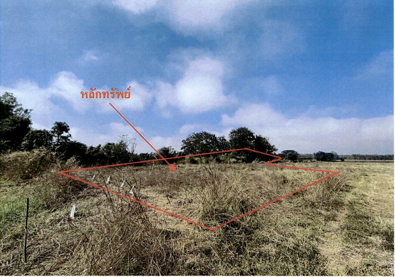 รูปที่ดินว่างเปล่า ป่าตัน แม่ทะ ลำปาง