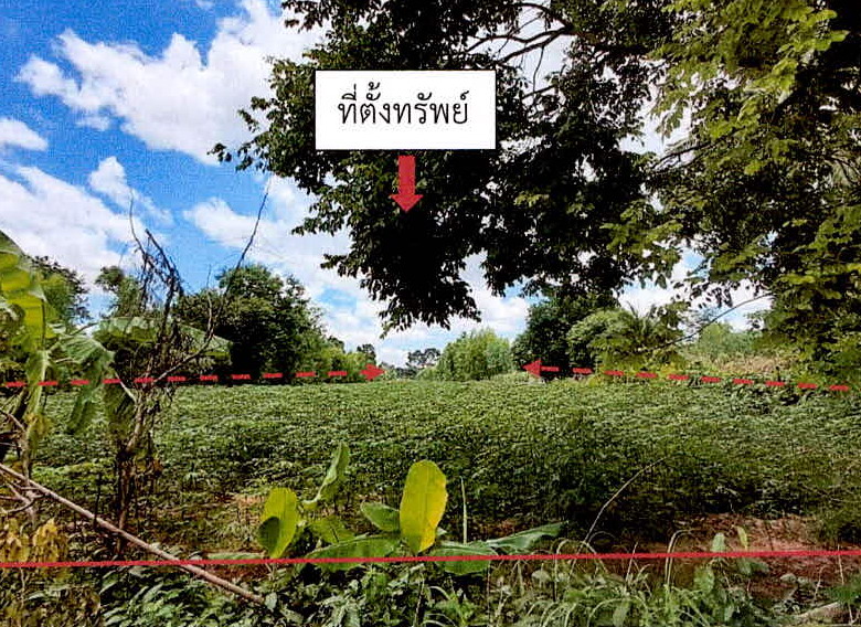 รูปที่ดินว่างเปล่า ตาเมียง พนมดงรัก สุรินทร์