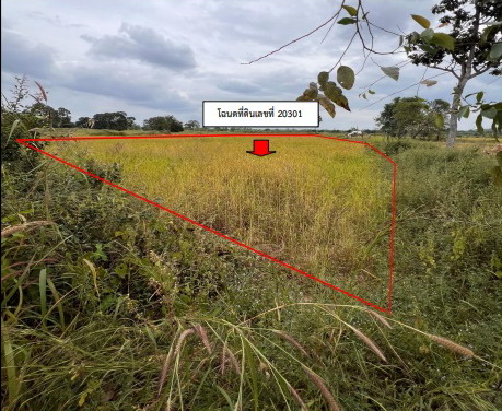 รูปที่ดินว่างเปล่า ภูแล่นช้าง นาคู กาฬสินธุ์