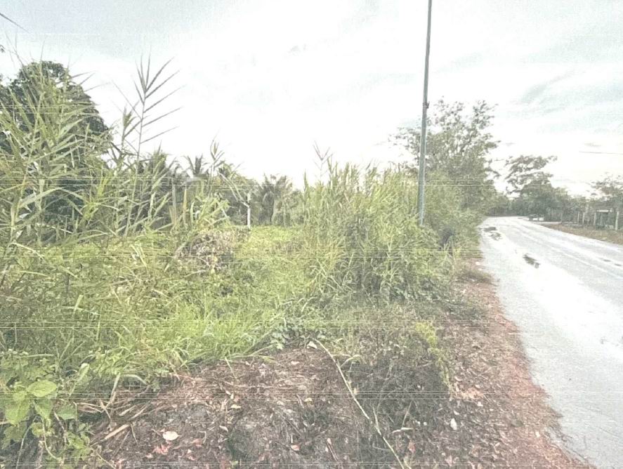 รูปที่ดินว่างเปล่า บ้านไร่ ดำเนินสะดวก ราชบุรี