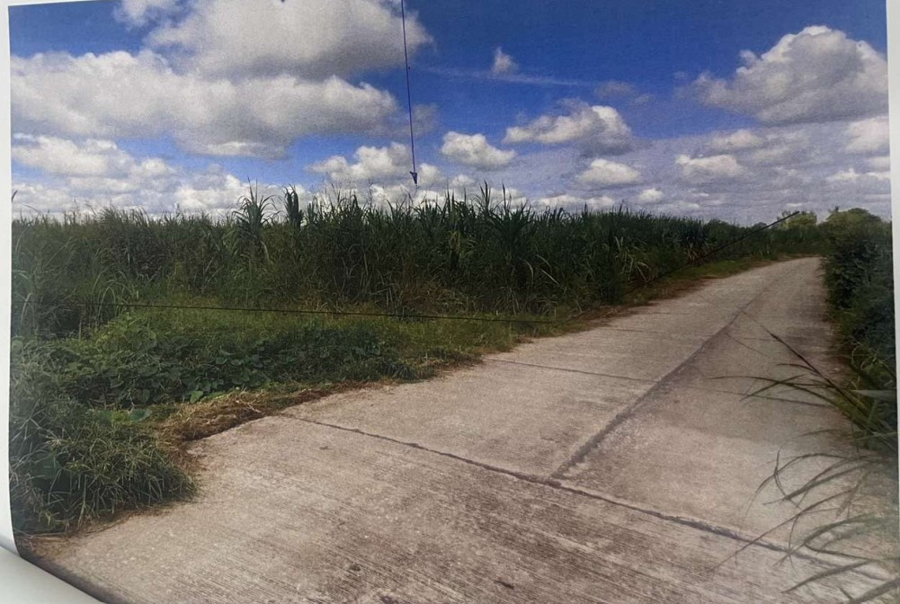 รูปที่ดินว่างเปล่า ป่าพุทรา ขาณุวรลักษบุรี กำแพงเพชร