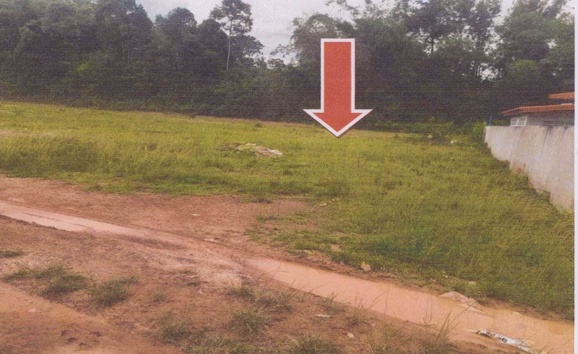 รูปที่ดินว่างเปล่า นาท่ามเหนือ เมืองตรัง ตรัง