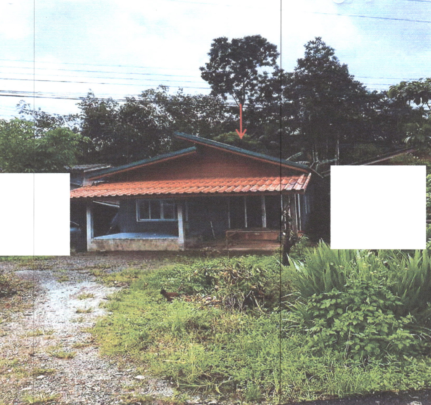 รูปที่ดินพร้อมสิ่งปลูกสร้าง ตะโหมด ตะโหมด พัทลุง