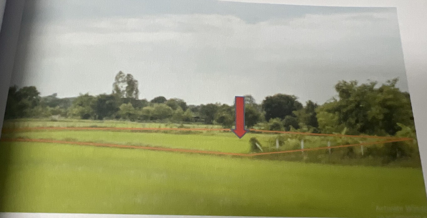 รูปที่ดินว่างเปล่า ขามป้อม วาปีปทุม มหาสารคาม