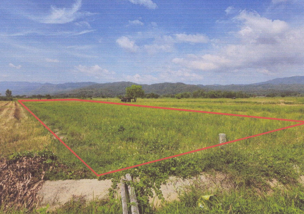 รูปที่ดินว่างเปล่า เมืองพาน พาน เชียงราย